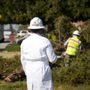 Photo of AB Tree Doctor