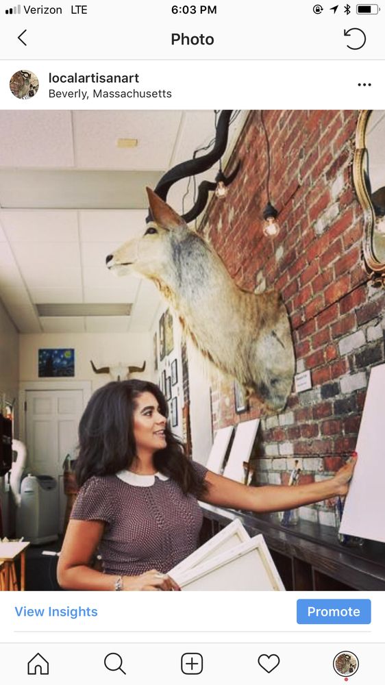 Local Artisan - taxidermy in Beverly, MA