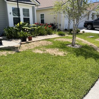 Big Daddy’s Palm Trees - Sanded low spots in front yard - Landscaping Near Me Big Daddy’s Palm Trees - Sanded low spots in front yard - Landscaping Near Me