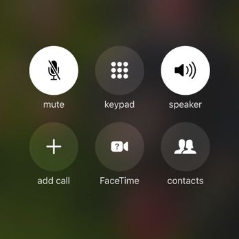 Black Cat Burrito - On hold for OVER 50 mins - Mexican Near Me - Boone, North Carolina Black Cat Burrito - On hold for OVER 50 mins - Mexican Near Me - Boone, North Carolina