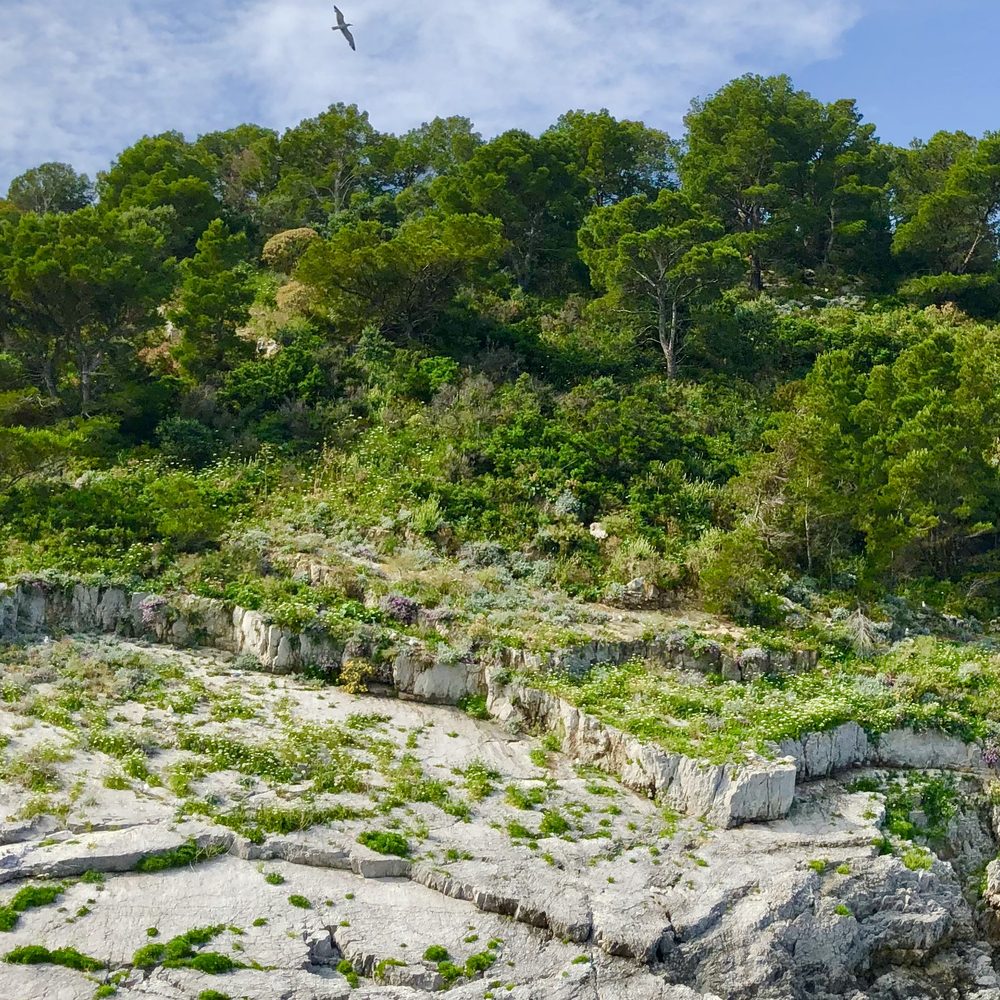 Exclusive Cruises - Boating Near Me - Ravello, SA