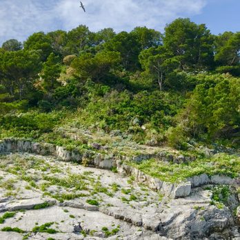 Exclusive Cruises - Boating Near Me - Ravello, SA