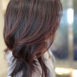 Mane Obsession