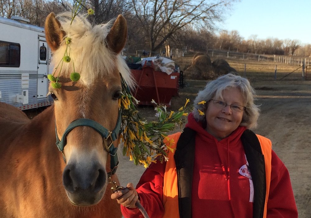 ATTORNEY DIANE L MADER Updated June 2024 6702 Stonefield Rd