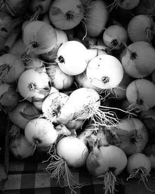 Evanston Farmers' Market by null