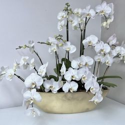 Newport Florist