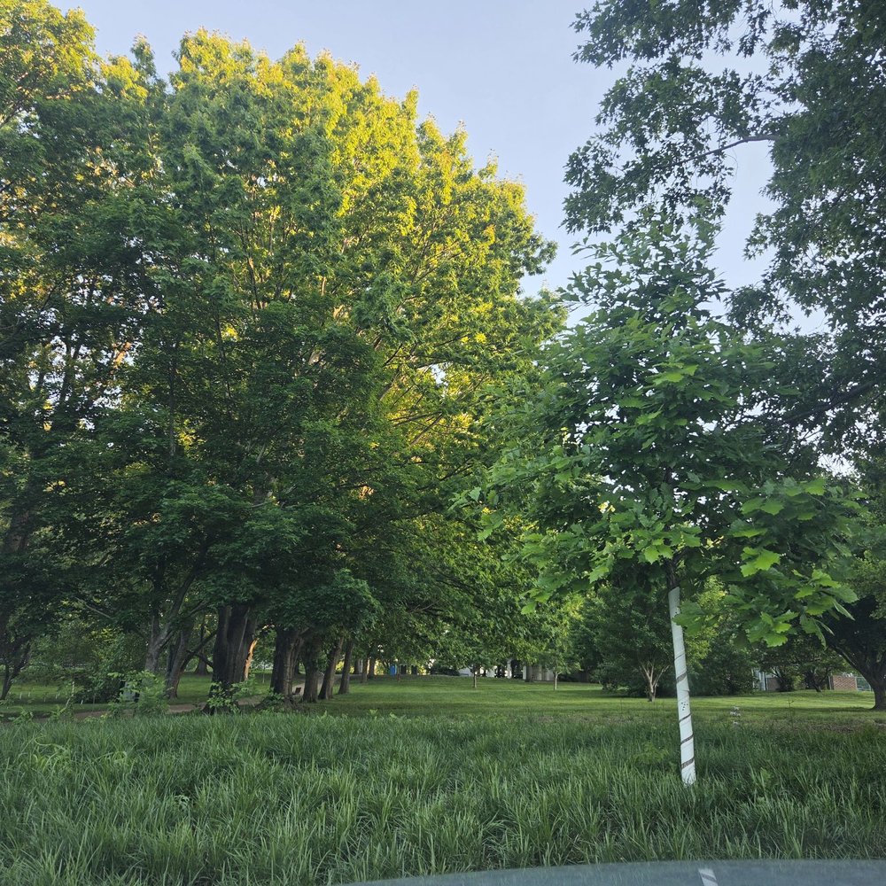 Blackburn Park - Greeeen - Parks Near Me - Webster Groves, Missouri