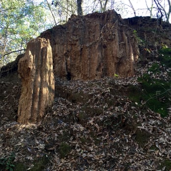Mississippi Petrified Forest - Museums Near Me - Flora, Mississippi