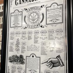 Camden Apothecary