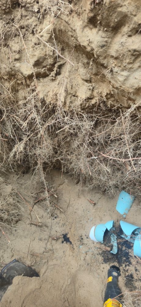 Slide of Rockin Rooter