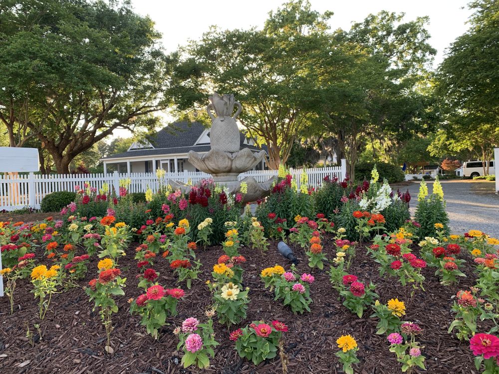 NLS & LANDSCAPING Updated September 2024 3871 Dewey Cox Rd, Lake