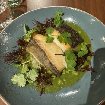 Stokes Adobe - Seared Black Cod - New American Near Me - Monterey, California Stokes Adobe - Seared Black Cod - New American Near Me - Monterey, California