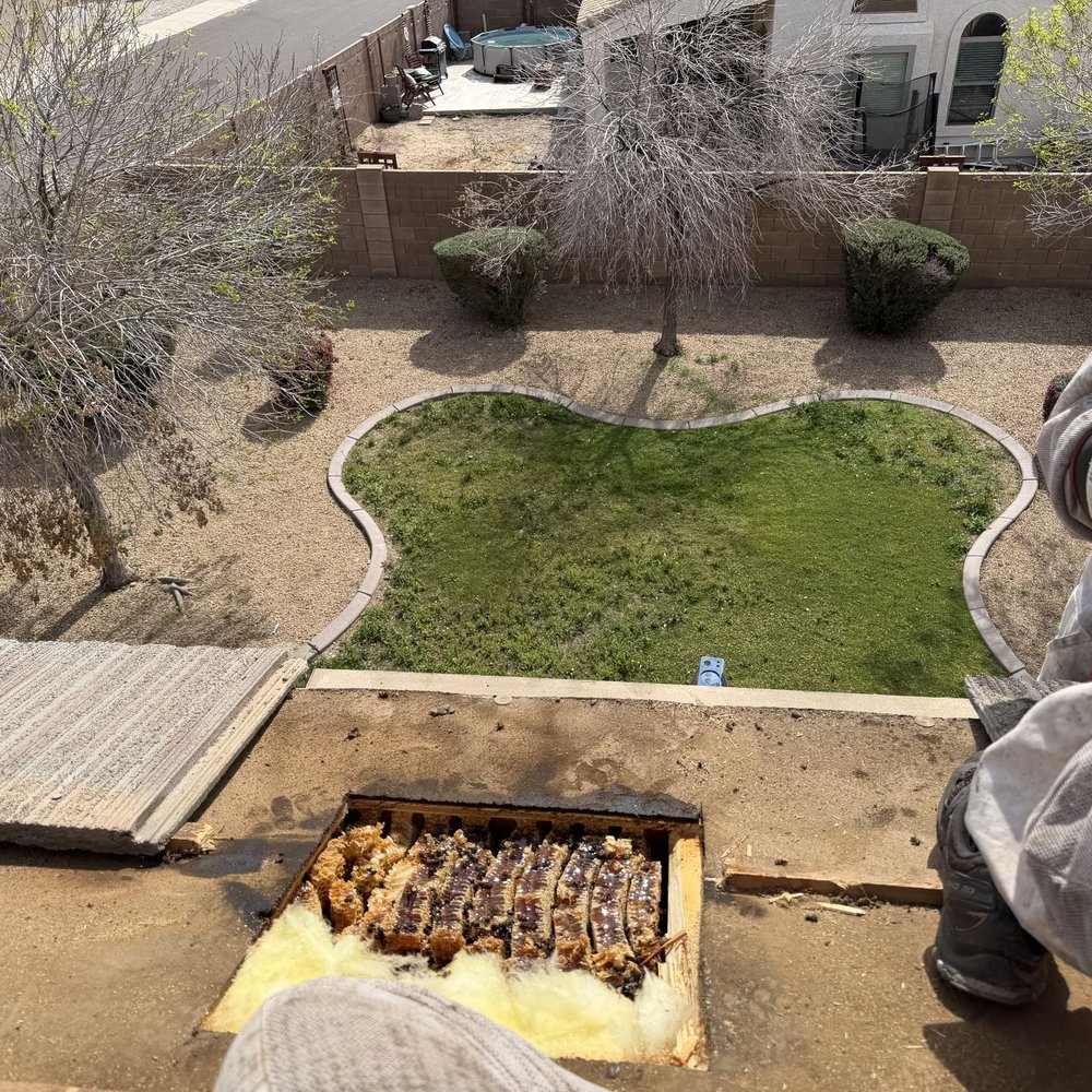 Estrella Roofing - Bee hive. - Roofing Near Me - Avondale, Arizona Estrella Roofing - Bee hive. - Roofing Near Me - Avondale, Arizona