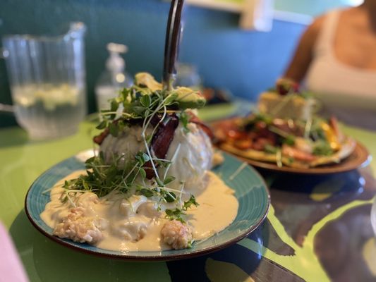 TibbittsFernHill by null