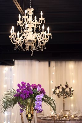 The Conservatory by null