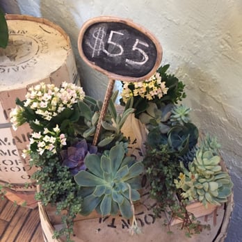 Dandelion Flowers and Gifts - Florists Near Me - Alameda, California Dandelion Flowers and Gifts - Florists Near Me - Alameda, California
