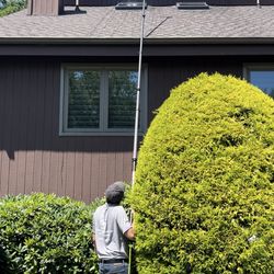 Window Cleaning Brothers - Washing sunlight after scrubbing