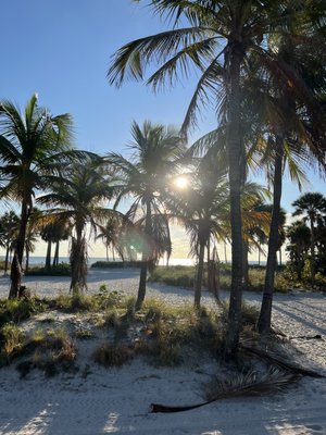 Crandon Park by null