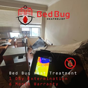 Bedbug Heat Relief - Pest Control Near Me Bedbug Heat Relief - Pest Control Near Me