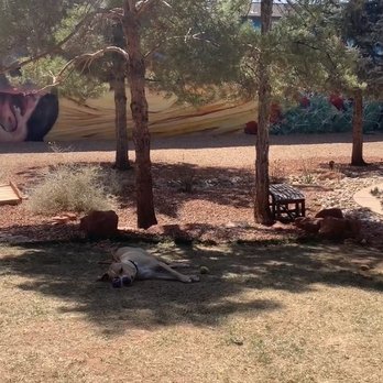 Best Friends Roadhouse - Huge dog park at the hotel - Hotels Near Me - Kanab, Utah