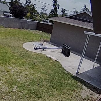 Green Ivy Maintenance - BEFORE back yard in need of work - Landscaping Near Me