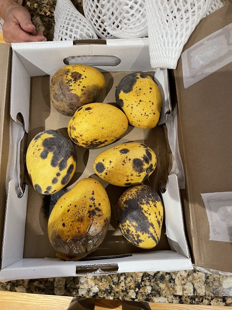 SAFFRON INDIAN MARKET Updated August 2024 21 Photos & 14 Reviews