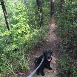 Trail along the edge of bluff.