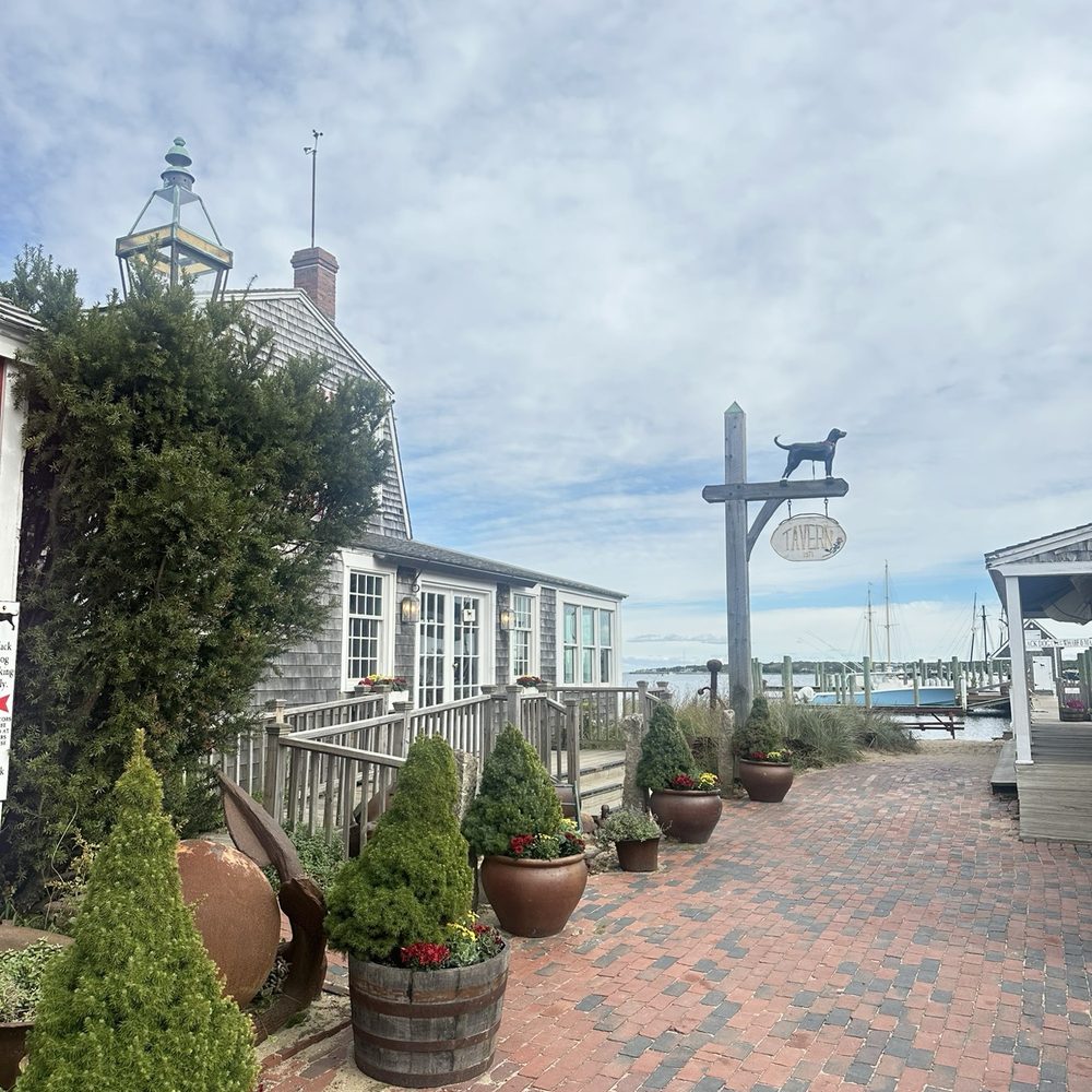 The Black Dog Tavern - Seafood Near Me - Vineyard Haven, Massachusetts The Black Dog Tavern - Seafood Near Me - Vineyard Haven, Massachusetts
