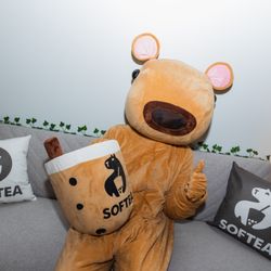 Softea