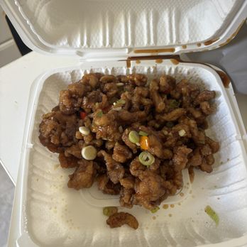 606 - Simon's Garlic Chicken - Hong Kong Style Cafe Near Me - San Francisco, California