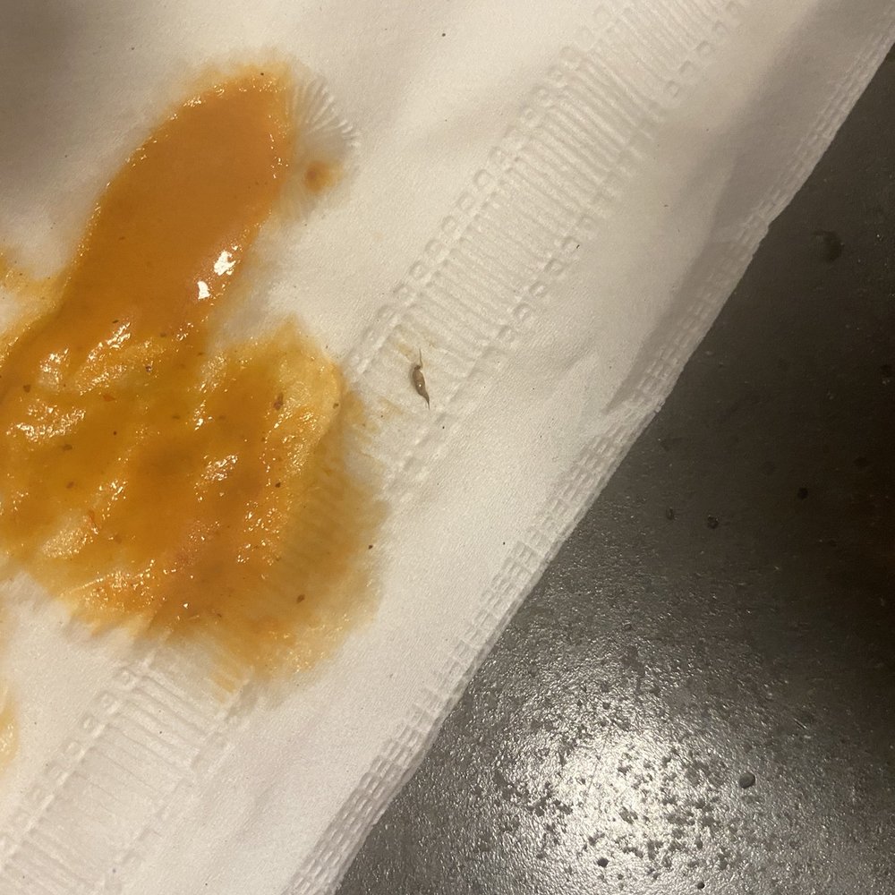 BelAir Cantina - Found a roach in my salsa. - New Mexican Cuisine Near Me - Oak Creek, Wisconsin