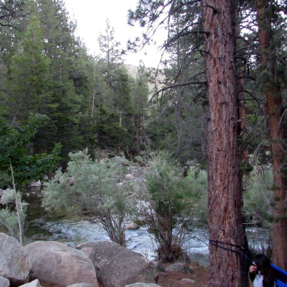 Robinson Creek Campground - View of the creek from our campsite - Campgrounds Near Me - Bridgeport, California Robinson Creek Campground - View of the creek from our campsite - Campgrounds Near Me - Bridgeport, California