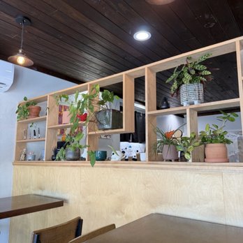 Trilogy Coffee Roasting - Interior - Breakfast & Brunch Near Me - DeLand, Florida Trilogy Coffee Roasting - Interior - Breakfast & Brunch Near Me - DeLand, Florida