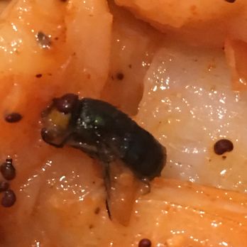 Winn Dixie - FLY found in Cajun Shrimp box sold in WINN-DIXIE; FLY almost half the size of a dime. - Grocery Near Me - Wesley Chapel, Florida