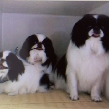 The Welcome Waggin - We love Dr. Laurie and Sarah!!! - Veterinarians Near Me - Plainfield, Illinois