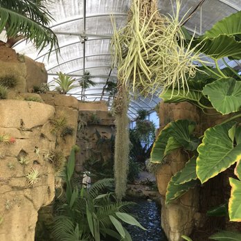 Rainforest Flora - More plants - Nurseries & Gardening Near Me - Torrance, California Rainforest Flora - More plants - Nurseries & Gardening Near Me - Torrance, California