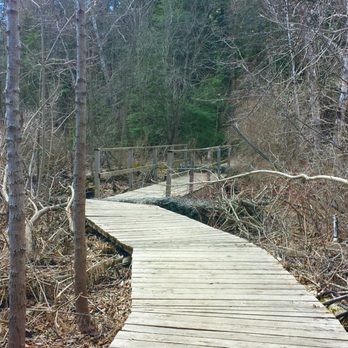 Bruce's Mill Conservation - Nice board walk. - Public Services & Government Near Me - Stouffville, Ontario Bruce's Mill Conservation - Nice board walk. - Public Services & Government Near Me - Stouffville, Ontario