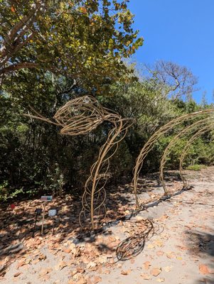 Bonnet House Museum & Gardens by null