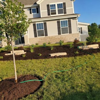 MH Landscaping - a freshly planted tree in the front yard - Landscaping Near Me - Delavan, Wisconsin