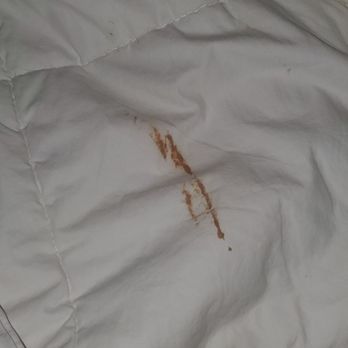 Surfer Beach Hotel - Blood on the Bed Sheets - San Diego, CA