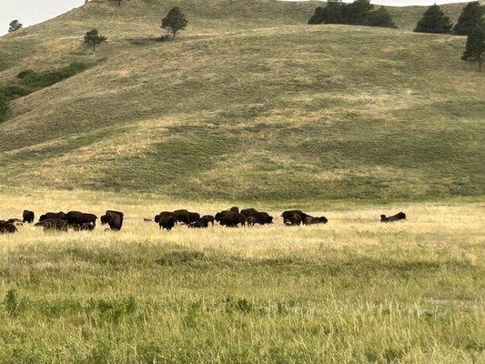 Fort Welikit Family Campground by null