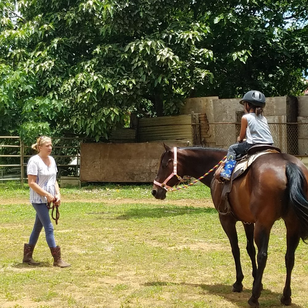 Aloha Riding Lessons - Horseback Riding Near Me - Honolulu, Hawaii Aloha Riding Lessons - Horseback Riding Near Me - Honolulu, Hawaii