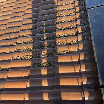 Essential Solar Panel Cleaning - BIRD POOP WILL CAUSE DISEASES DONT LET IT GET TO THAT POINT! BIRD PROOF WITH US TODAY! - Solar Panel Cleaning Near Me Essential Solar Panel Cleaning - BIRD POOP WILL CAUSE DISEASES DONT LET IT GET TO THAT POINT! BIRD PROOF WITH US TODAY! - Solar Panel Cleaning Near Me