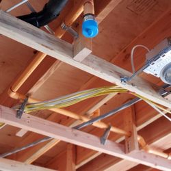 Longevity Fire Sprinklers