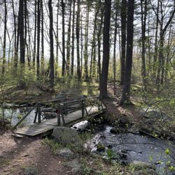 Caratunk Wildlife Refuge