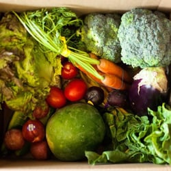 Berkeley Student Food Collective - All the produce at the BSFC is local and organic!