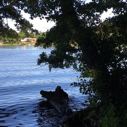 McKinley Woods - Frederick's Grove - River
