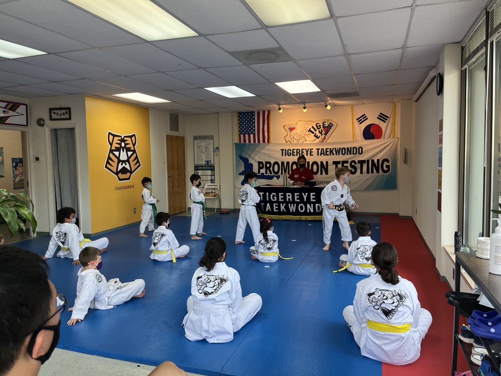 Tigereye Taekwondo Logo