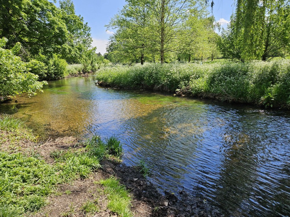 Social spots from Cedar Creek Park