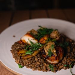Terrene - Seared scallops